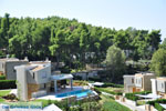 Sani | Kassandra Halkidiki | Greece  Photo 5 - Photo JustGreece.com
