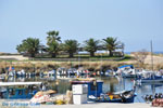 Nea Potidea | Kassandra Halkidiki | Greece  Photo 29 - Photo JustGreece.com