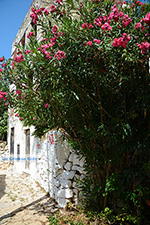 Megisti Kastelorizo - Kastelorizo island Dodecanese - Photo 131 - Photo JustGreece.com
