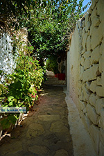 Megisti Kastelorizo - Kastelorizo island Dodecanese - Photo 132 - Photo JustGreece.com