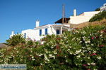 Vourkari | Kea (Tzia) | Greece Photo 1 - Photo JustGreece.com