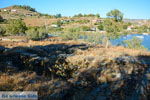 Vourkari | Kea (Tzia) | Greece Photo 14 - Photo JustGreece.com