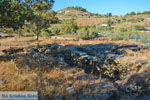 Vourkari | Kea (Tzia) | Greece Photo 15 - Photo JustGreece.com