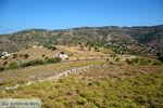 On our way to Kato Meria | Kea (Tzia) Photo 1 - Photo JustGreece.com
