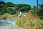 On our way to Kato Meria | Kea (Tzia) Photo 7 - Photo JustGreece.com