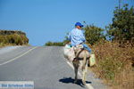 On our way to Kato Meria | Kea (Tzia) Photo 8 - Photo JustGreece.com