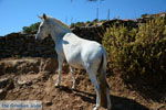 On our way to Kato Meria | Kea (Tzia) Photo 10 - Photo JustGreece.com