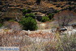 Hiking trail to Karthaia | Kato Meria | Kea (Tzia) 14 - Photo JustGreece.com