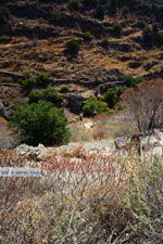 Hiking trail to Karthaia | Kato Meria | Kea (Tzia) 16 - Photo JustGreece.com