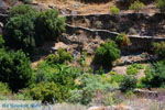 Hiking trail to Karthaia | Kato Meria | Kea (Tzia) 22 - Photo JustGreece.com
