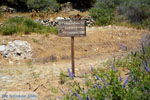 JustGreece.com Karthaia in Kato Meria | Kea (Tzia) | Greece  nr 42 - Foto van JustGreece.com