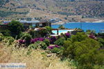 JustGreece.com Koundouros | Kea (Tzia) | Greece  Photo 29 - Foto van JustGreece.com