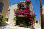 Ioulida (Ioulis of Chora) | Kea (Tzia) | Greece  Photo 20 - Photo JustGreece.com