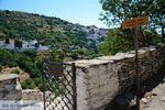 Ioulida (Ioulis of Chora) | Kea (Tzia) | Greece  Photo 61 - Photo JustGreece.com