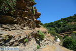 JustGreece.com Ioulida (Ioulis of Chora) | Kea (Tzia) | Greece  Photo 68 - Foto van JustGreece.com