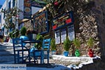 Kos town - Island of Kos - Greece  Photo 1 - Photo JustGreece.com
