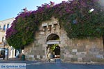 JustGreece.com Kos town - Island of Kos - Greece  Photo 39 - Foto van JustGreece.com