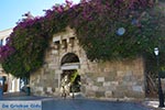 JustGreece.com Kos town - Island of Kos - Greece  Photo 45 - Foto van JustGreece.com