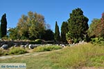 Kos town - Island of Kos - Greece  Photo 47 - Photo JustGreece.com