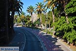 Kos town - Island of Kos - Greece  Photo 53 - Photo JustGreece.com