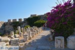 Kos town - Island of Kos - Greece  Photo 55 - Photo JustGreece.com