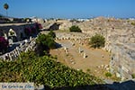 Kos town - Island of Kos - Greece  Photo 62 - Photo JustGreece.com