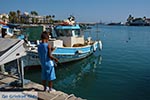 Kos town - Island of Kos - Greece  Photo 82 - Photo JustGreece.com