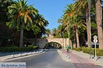 Kos town - Island of Kos - Greece  Photo 88 - Photo JustGreece.com