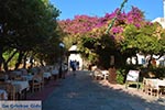 Kos town - Island of Kos - Greece  Photo 94 - Photo JustGreece.com