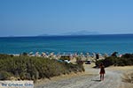 Markos beach - Island of Kos -  Photo 32 - Photo JustGreece.com