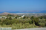 Zia - Island of Kos -  Photo 3 - Photo JustGreece.com