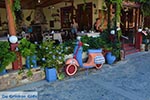 Zia - Island of Kos -  Photo 50 - Photo JustGreece.com