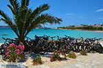 Koufonissi - Koufonissia islands | Cyclades | Greece  | nr 90 - Photo JustGreece.com