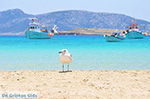 JustGreece.com Koufonissi - Koufonissia islands | Cyclades | Greece  | nr 101 - Foto van JustGreece.com