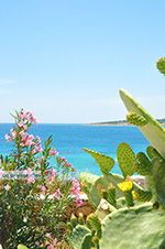 Koufonissi - Koufonissia islands | Cyclades | Greece  | nr 139 - Photo JustGreece.com