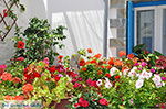 JustGreece.com Koufonissi - Koufonissia islands | Cyclades | Greece  | nr 208 - Foto van JustGreece.com