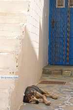 Koufonissi - Koufonissia islands | Cyclades | Greece  | nr 212 - Photo JustGreece.com