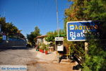 JustGreece.com Platanos near Tholos | Lassithi Crete | Photo 3 - Foto van JustGreece.com