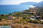 JustGreece.com Onderweg to Mochlos | Lassithi Crete |Photo 2 - Foto van JustGreece.com