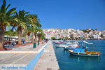 Sitia | Lassithi Crete | Greece  Photo 1 - Photo JustGreece.com