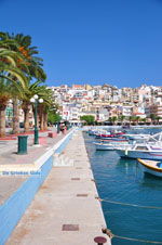 JustGreece.com Sitia | Lassithi Crete | Greece  Photo 4 - Foto van JustGreece.com