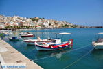 Sitia | Lassithi Crete | Greece  Photo 9 - Photo JustGreece.com