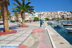 Sitia | Lassithi Crete | Greece  Photo 11 - Photo JustGreece.com