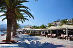 Sitia | Lassithi Crete | Greece  Photo 14 - Photo JustGreece.com