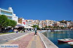 JustGreece.com Sitia | Lassithi Crete | Greece  Photo 16 - Foto van JustGreece.com