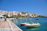 Sitia | Lassithi Crete | Greece  Photo 17 - Photo JustGreece.com