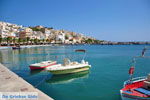 JustGreece.com Sitia | Lassithi Crete | Greece  Photo 18 - Foto van JustGreece.com