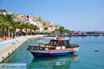 Sitia | Lassithi Crete | Greece  Photo 20 - Photo JustGreece.com