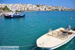 Sitia | Lassithi Crete | Greece  Photo 24 - Photo JustGreece.com