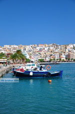 JustGreece.com Sitia | Lassithi Crete | Greece  Photo 25 - Foto van JustGreece.com